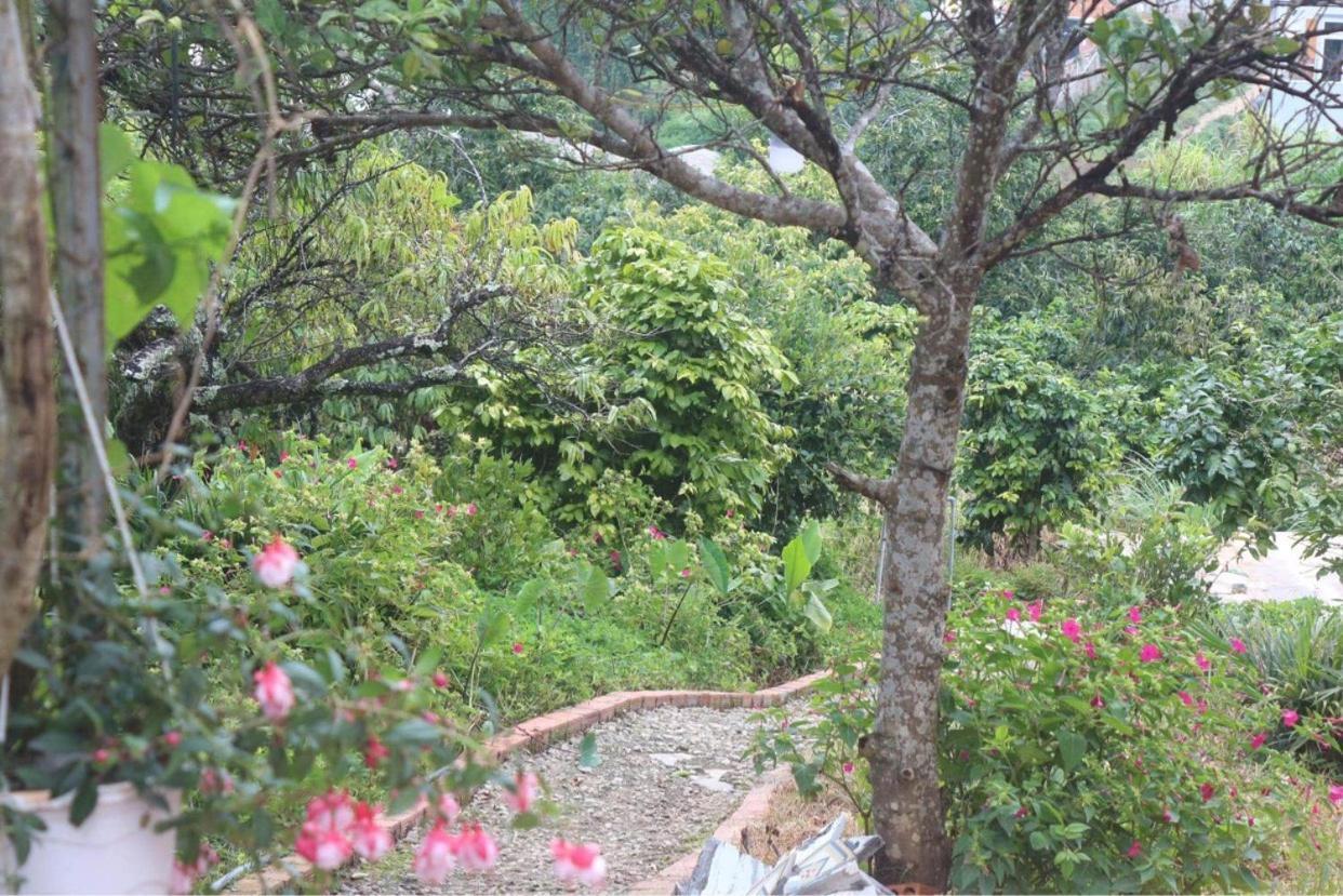 Thang Nam Ruc Ro - Dalat Homestay Eksteriør billede